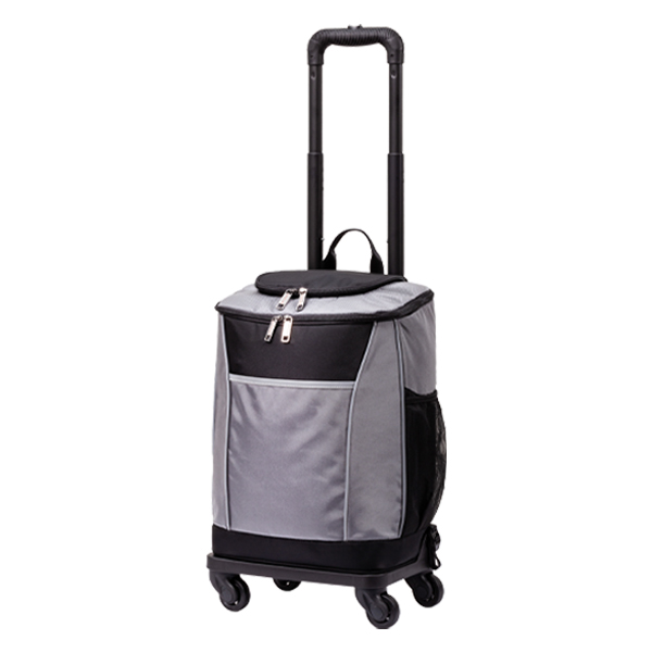FoldableShoppingCartLightGrey/DarkGrey